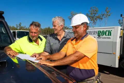 Three tradies reviewing plans beside work ute
